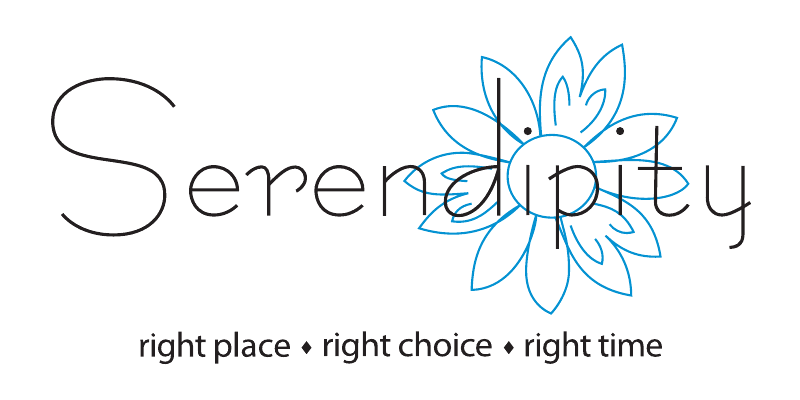 Serendipity by Janet&nbsp;Nissenson