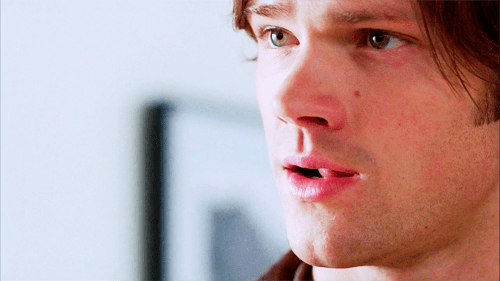 The Goal by Elle&nbsp;Kennedy