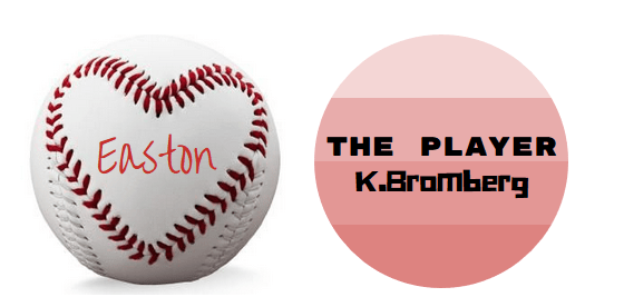 The Player by&nbsp;K.Bromberg