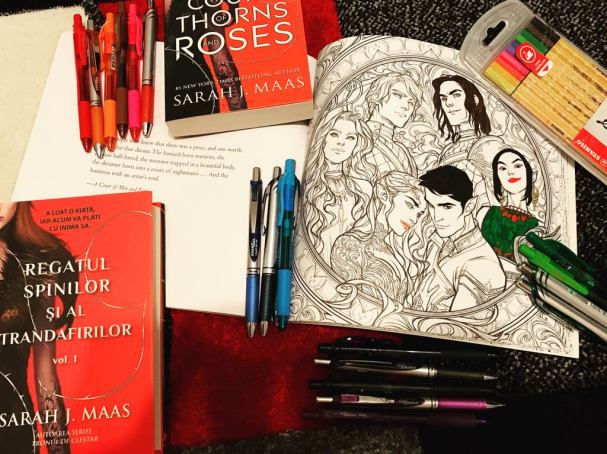 53216992_1425879187550393_2553537149018308608_n