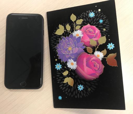 53439649_312838202752173_1091070217448062976_n