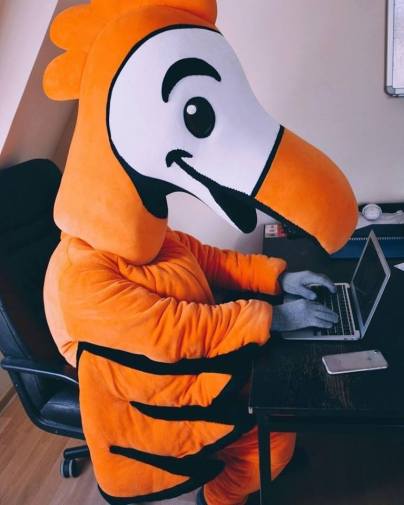 57083434_2127617300684805_2923167587904782336_n