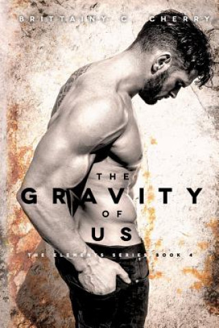 The Gravity of Us by Brittainy C&nbsp;Cherry